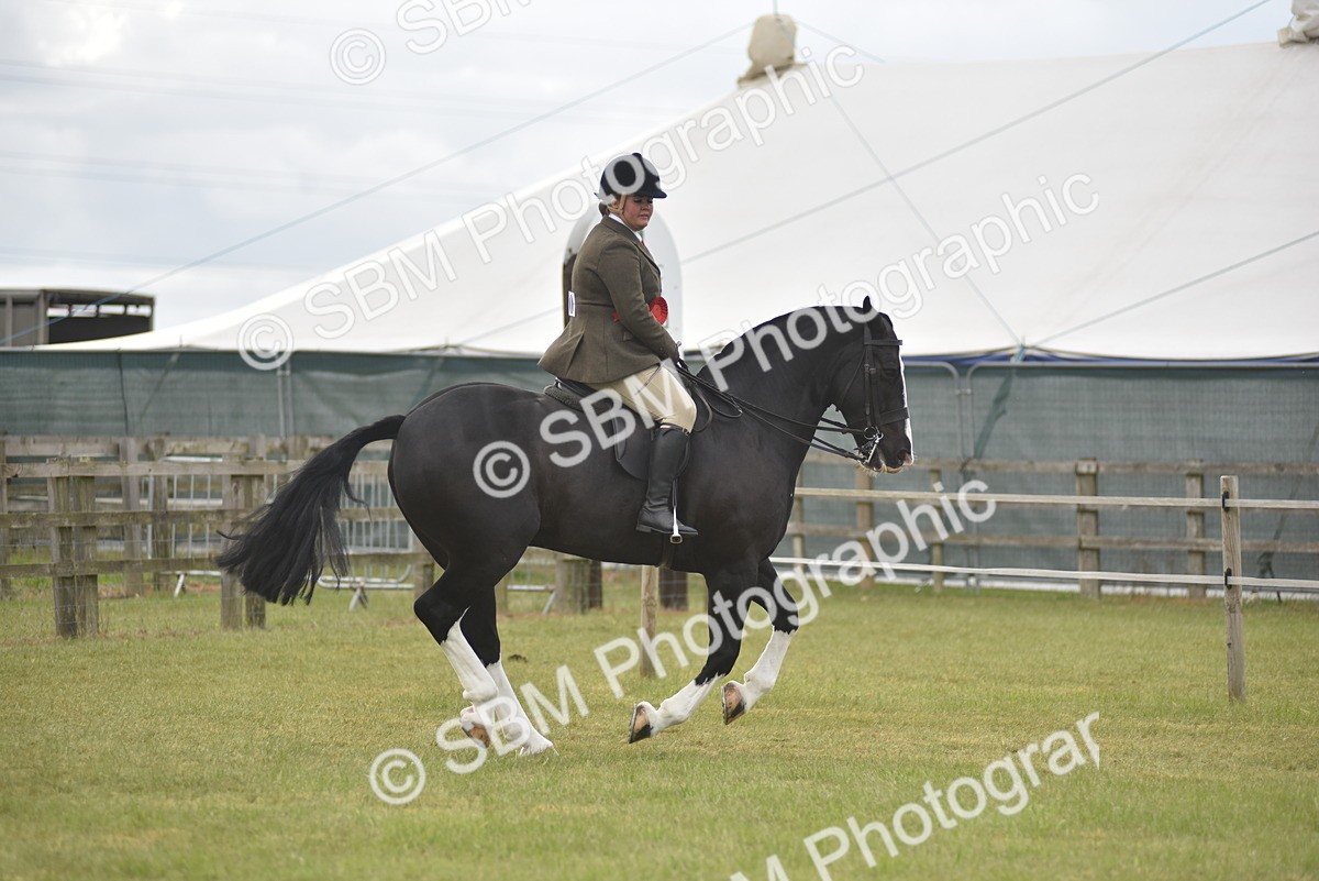 SBM_18246 - Class 122-123 - LIHS BHSA Raising Star Style and Performance Series