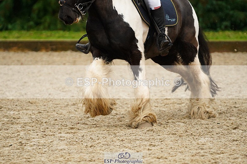 240309-115308-00500 - Cls 01 AE 70cm