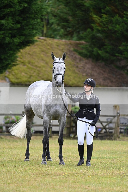 WJ7_6137 - Class 4a Prettiest Mare over 14hh