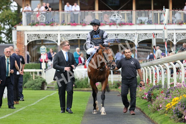 yr04092022r2-55 - Race 2 2.20pm John and Judith Marshall Memorial Stakes