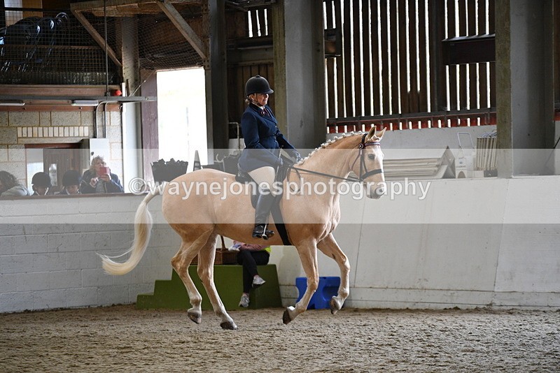 WJ5_6120 - Class 9 Ridden Veteran