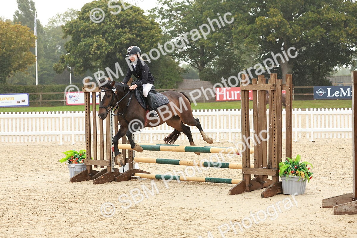 SBM_73387 - Supreme Championship Junior Pony 60cm & 65cm