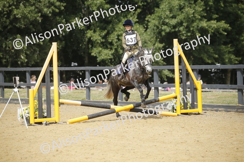 20250622-4015 - 50cm