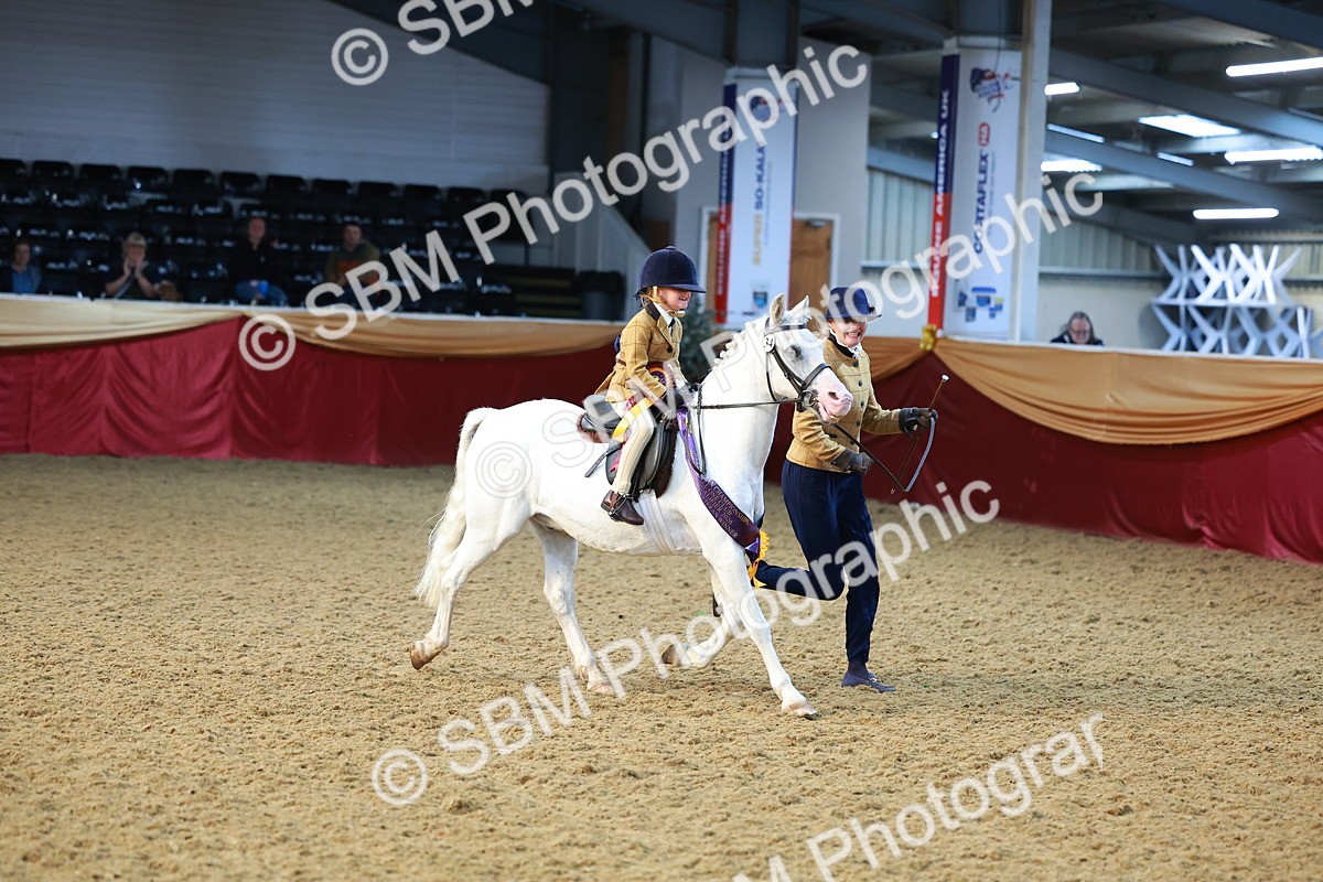 SBM_07765 - Class 101 - HOYS Veteran Qualifier - Ridden Diamond