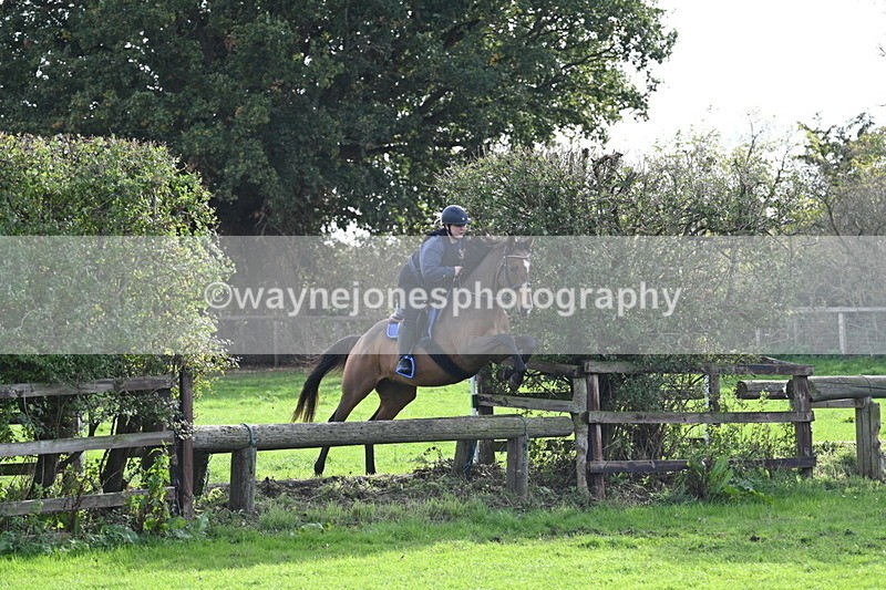 WJ7_0953 - Time 14:27 to 15:11