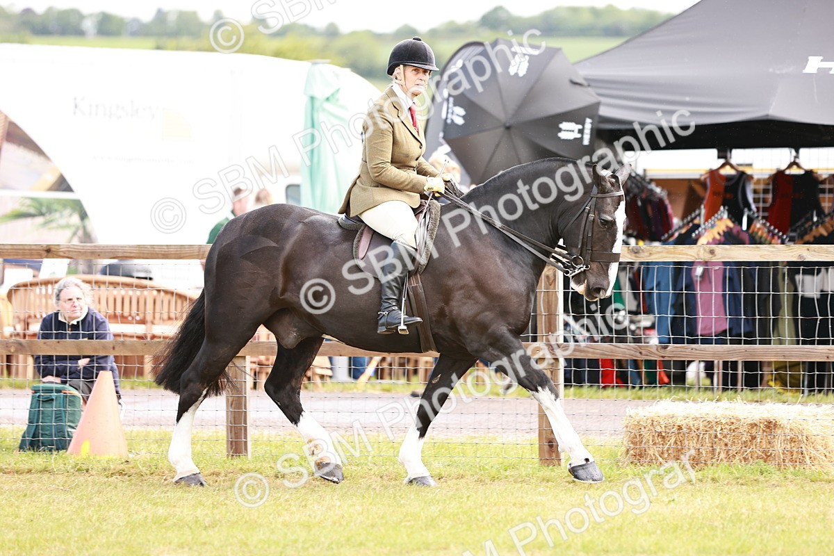 SBM_13074 - Class 85-87 - RIHS Cobs