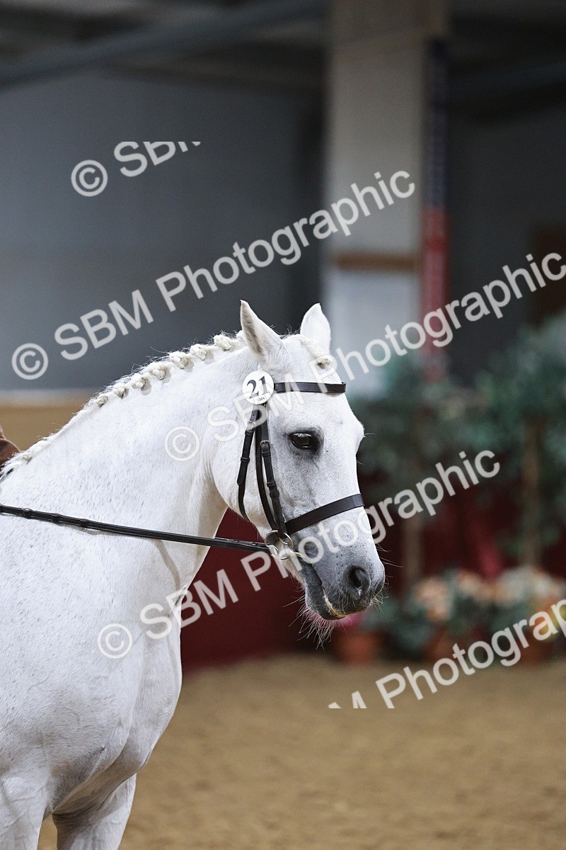 SBM_08088 - Class 11R - Regional Ridden Veteran