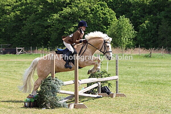 IMG_4237 - Working Hunter