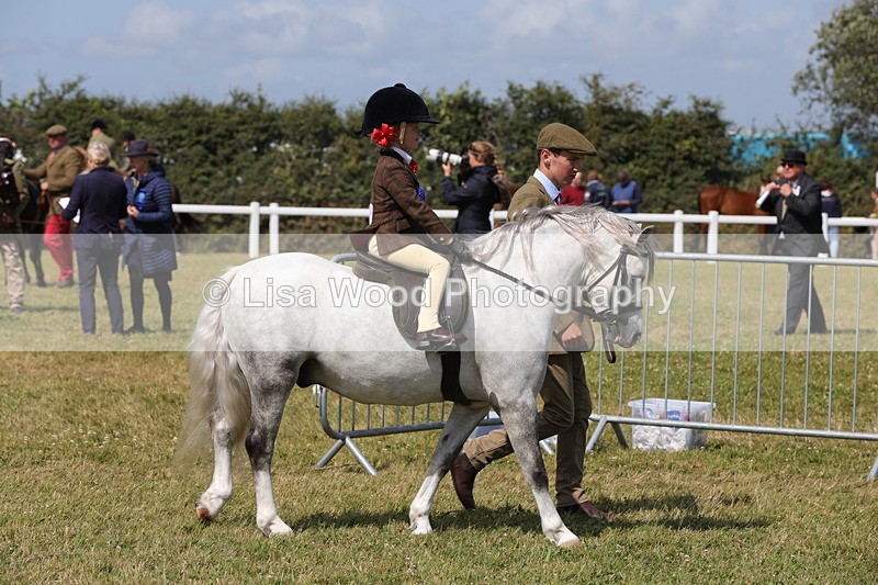 1X9A5476 - M&M Mini Ridden Championship