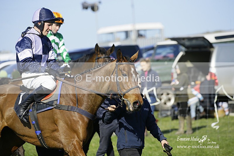 PtP 190322 612 - Wilton Hunt PtP Milborne St Andrew 19/03/22