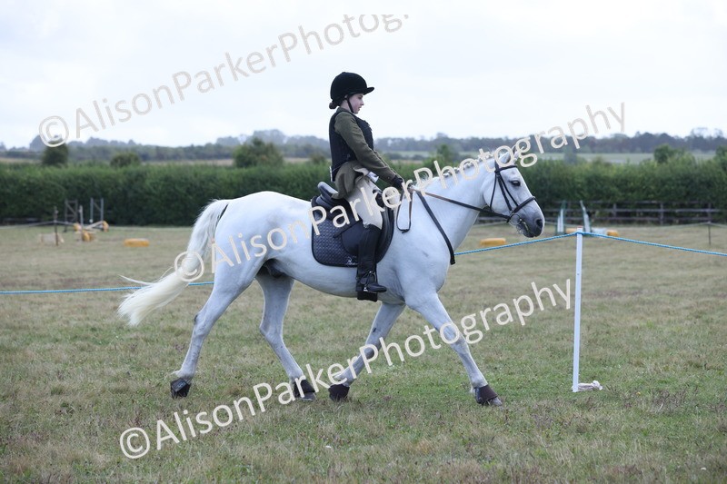 20250831-2399 - Class 16 - Family Pony