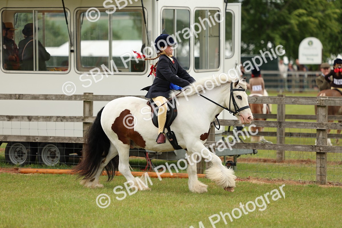 SBM_06256 - Class 39-41 TGCA In Hand and Ridden