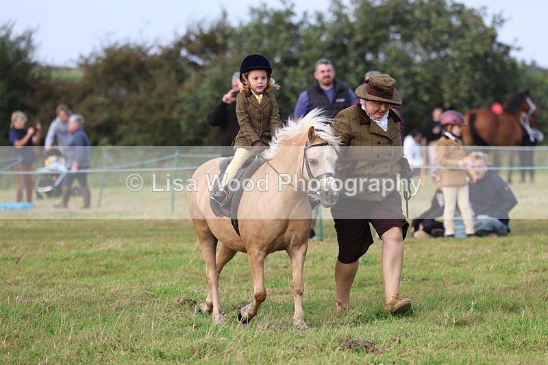 3E7A3574 - Class 2: Lead rein