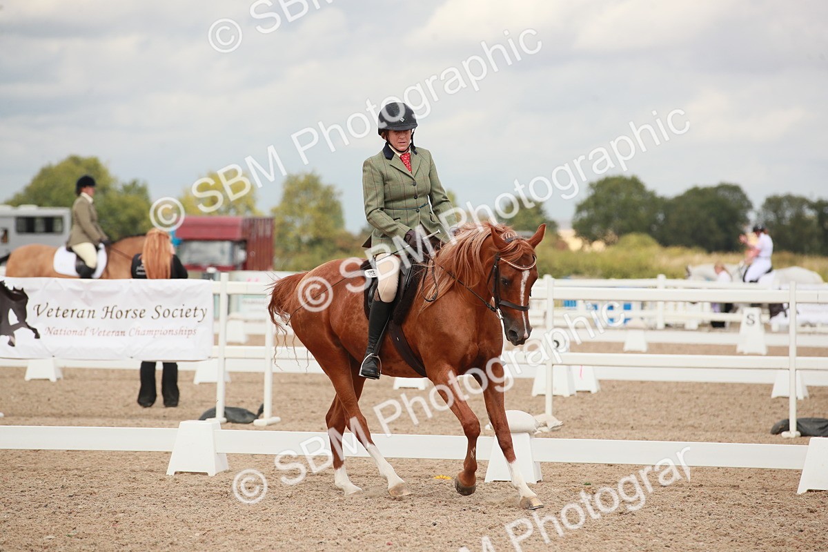 SBM_05996 - Class 32 - Novice 1