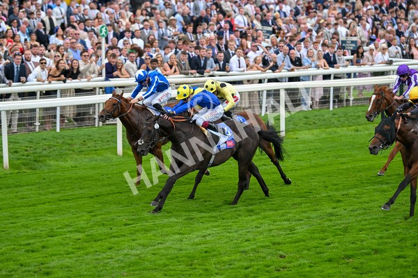 230825-Race 3-Never So Brave-0083 - Race 3 3.00pm Sky Bet City Of York Stakes