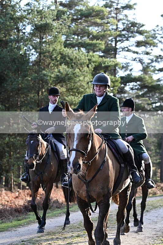 WJ7_7716 - Line 3 (no line 4 or 5)