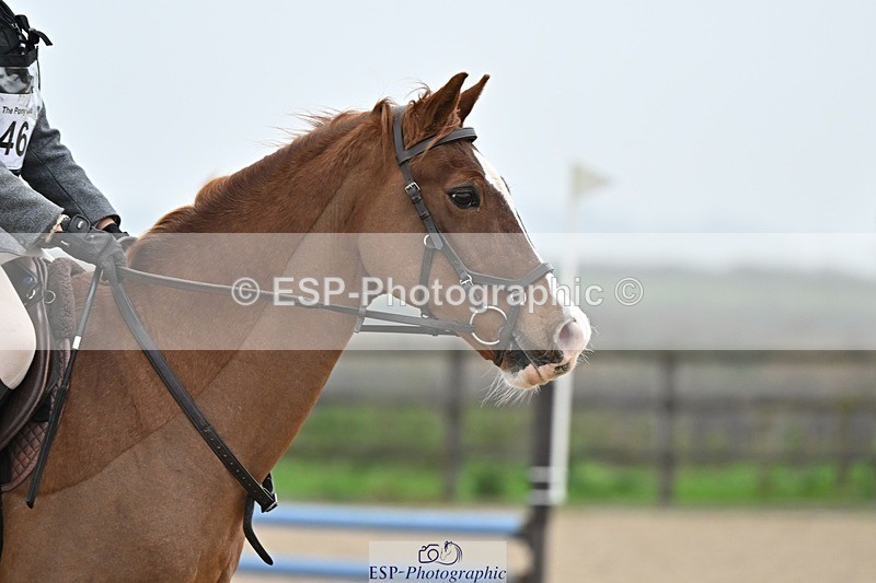 241110-100300-00172 - 40cm Showjumping