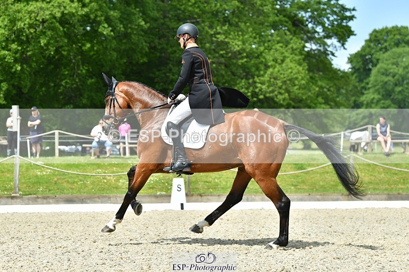 230525-113426-04054 - 201-JAEGER_MASTER-Tom_Woodward-WEDTrotUp+DR