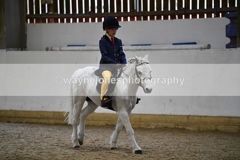 WJ5_7204 - Class 11 Ridden PC - RC Pony