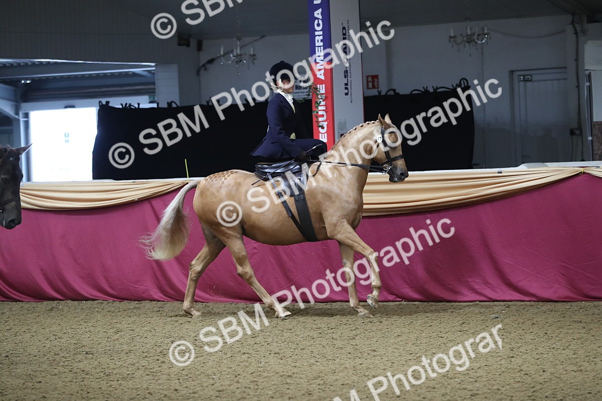 SBM_09276 - Class 101 Equitation (best rider), Junior