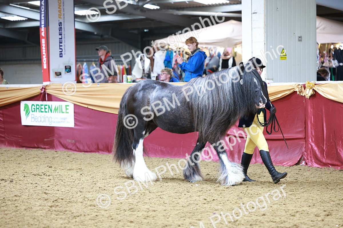 SBM_20103 - Class C - Novalty Champ