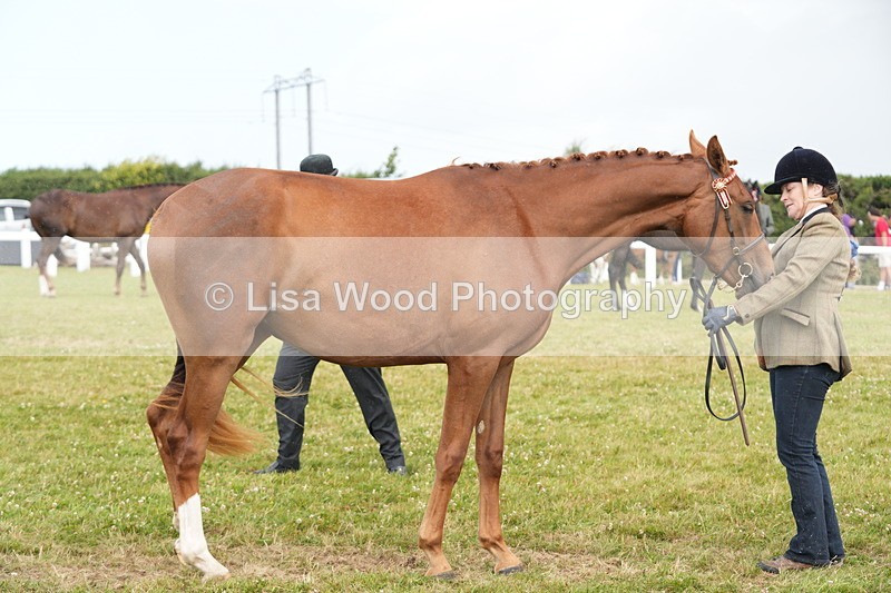 DSC06192 - Class 54: Hunter/Riding Horse/Hack 1 & 2 yr olds
