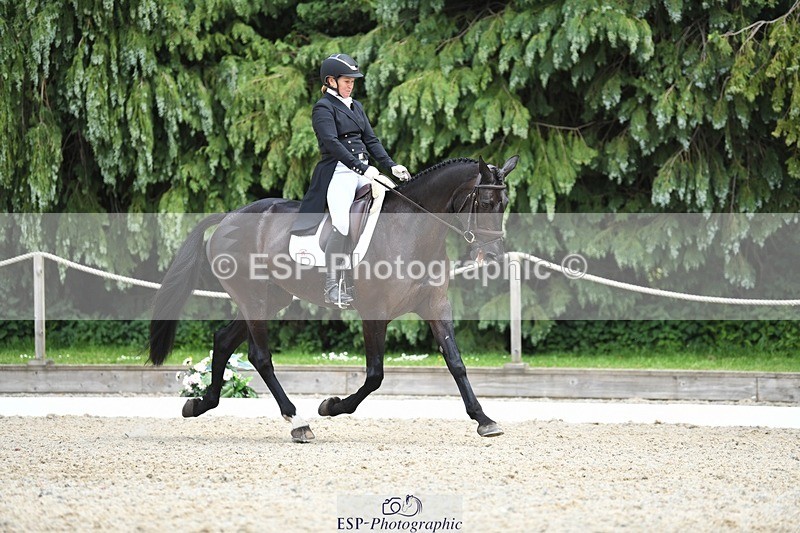230525-140109-03067 - 317-FERNHILL_KANKAN-Jonelle_Price-WEDTrotUp+DR
