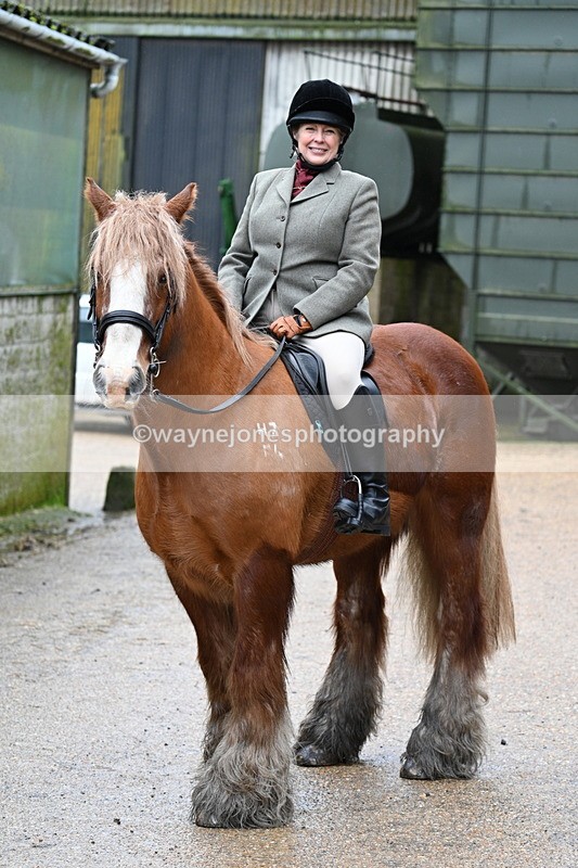 WJ7_8686 - Berks & Bucks - Rowles Farm 15-02-26