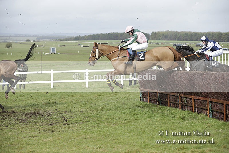 PtP 150320 0398 - New Forest Point-to-Point Larkhill 15/03/20