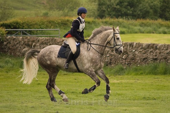 20 - Equestrian Photography