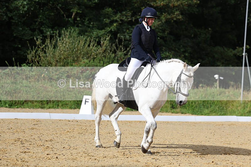 3E7A1984 - Class 1: Intro 4 2024 section A