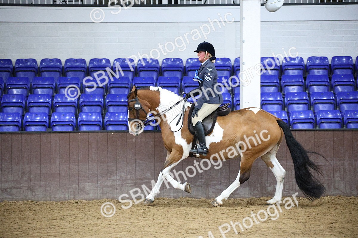 5K7A6123 - Class 48 - Ridden Mare