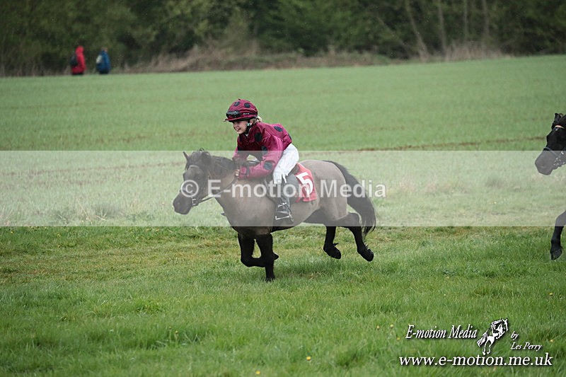 SHETPR 210425 118 - Shetland Ponies Paxford Races 21/04/25