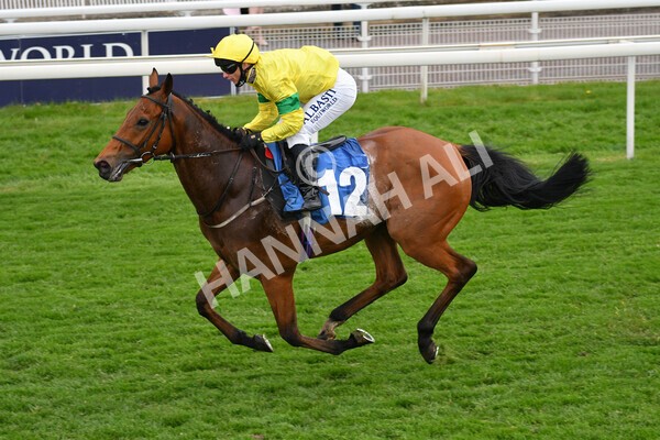 yr14052021r5-34 - Race 5 3.40pm The Jigsaw Sports Branding Handicap