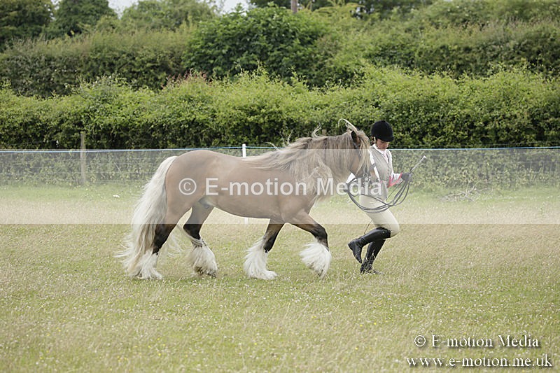B230619-0838 - Bourne Valley Riding Club Summer Show 23/06/19