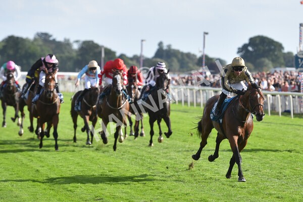 yr20082022r7-32 - Race 7 5.20pm Sky Bet Finale Stakes