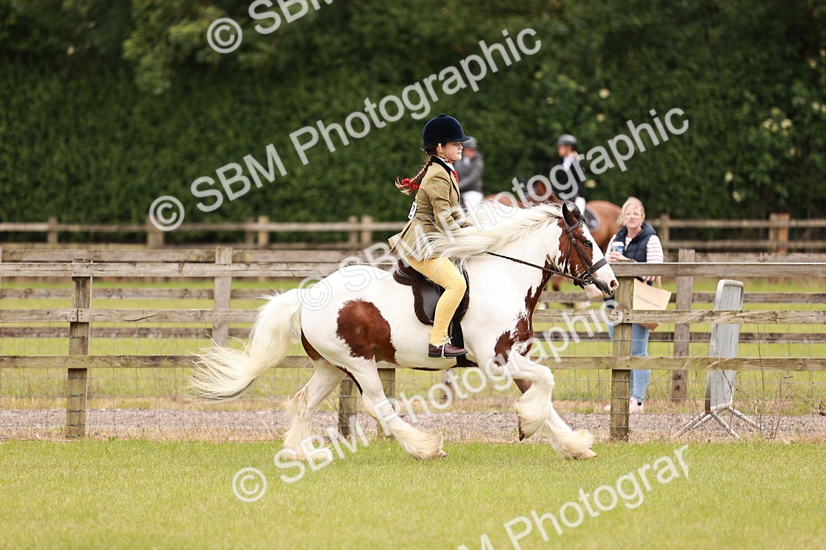 SBM_06205 - Class 39-41 TGCA In Hand and Ridden