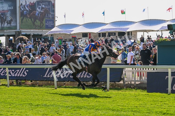 140525-Race 4-Whirl-2439 - Race 4 3.45pm Tattersalls Musidora Stakes
