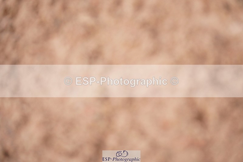 240628A-160856-00075 - Cls 1 Intro 80cm