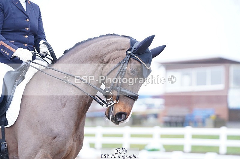 250215-141252-04209 - 236-Georgia.Stokes-SOS.San.So.Amorous