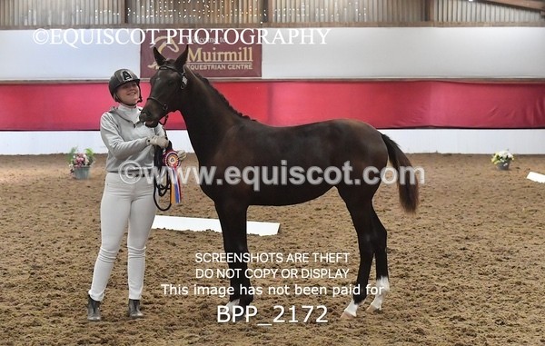 BPP_2172 - AFTERNOON 12.30 - 3.30PM