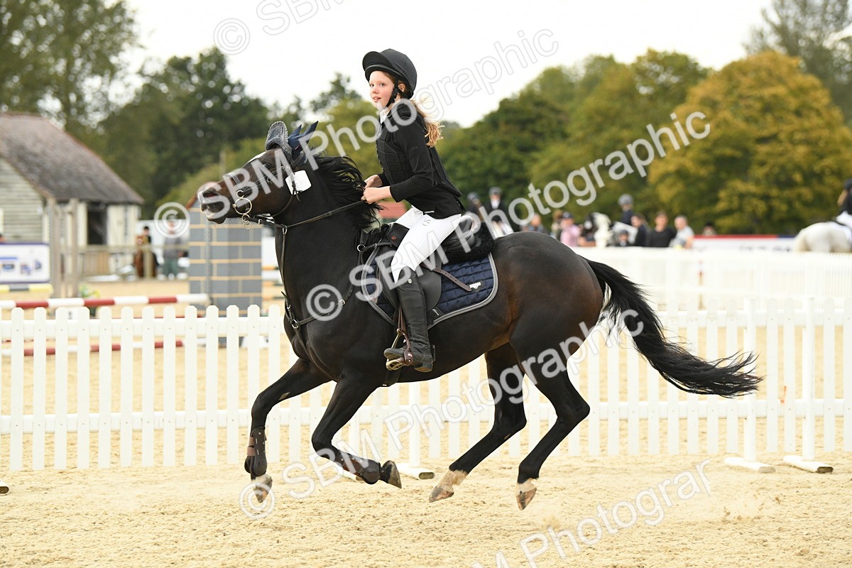 SBM_73394 - J16 - Junior Pony 75cm Championship