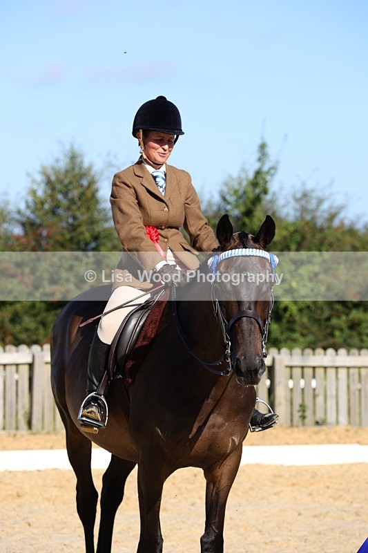 1X9A7633 - Class 7: Novice Ridden Hunter/Hack/Cob/Riding Horse
