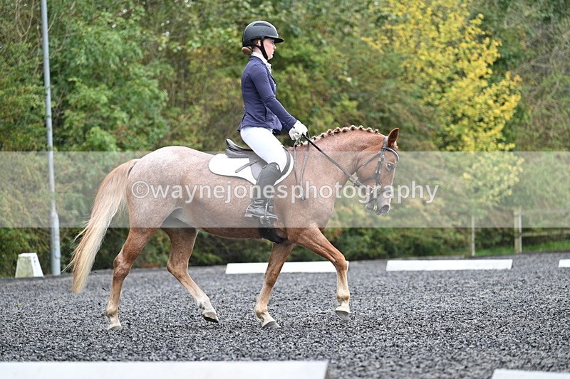 WJ7_3681 - Time 11:04 to 11:38