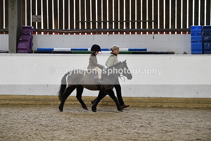 WJ5_6602 - Class 10 Childs Pony