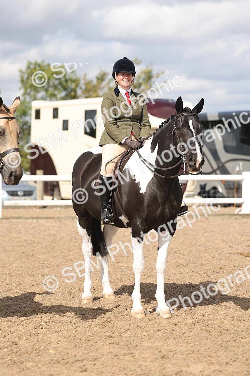 SBM_14784 - Class 308 - Ridden Coloured Horse