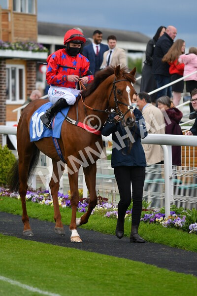 yr22052021r1-18 - Race 1 2.05pm William Hill Pick Your Places Stakes