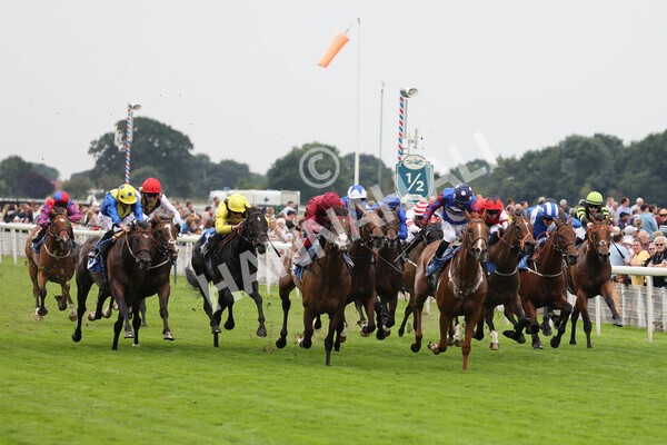 yr19082021r3-25 - Race 3 3.00pm Clipper Logistics Stakes