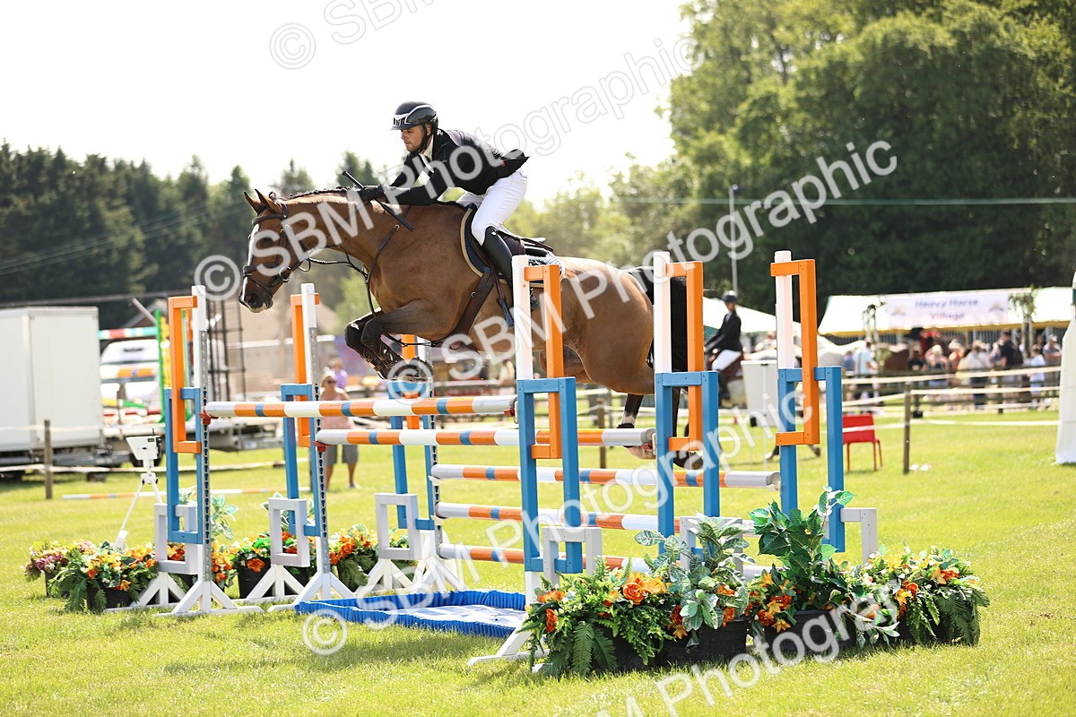 SBM_03164 - Class 201 - British Horse Feedds Speedi Beet HOYS Grade C