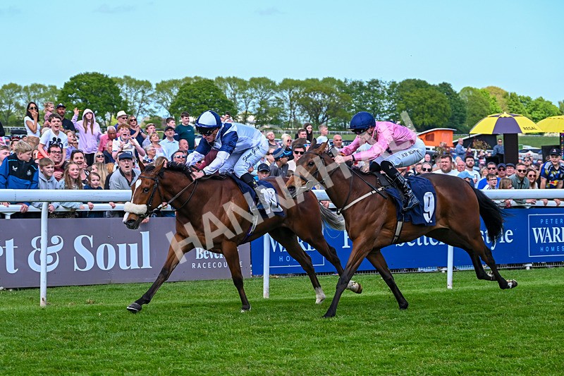 040526-Race 2-Moonlight Tango-1450 - Race 2